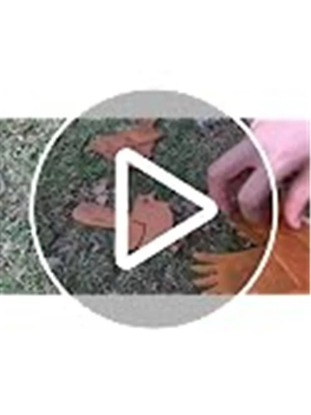 5PCS Rusty Birds Decoration,Outdoor Bird Wall Decor,Metal Birds Yard